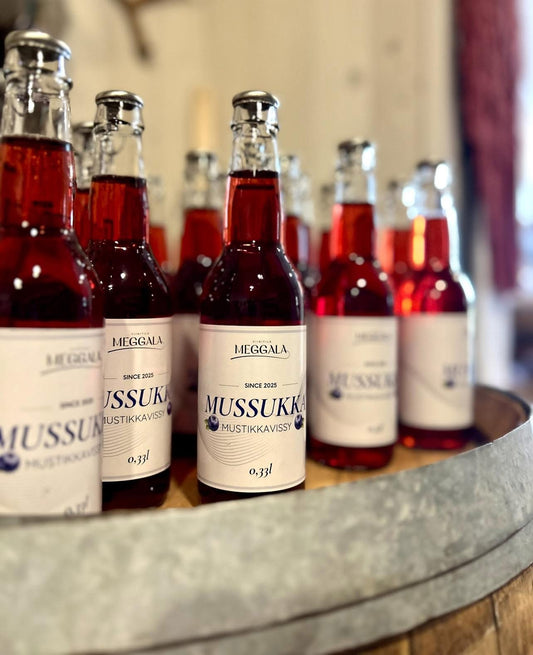 Mussukka mustikkavissy